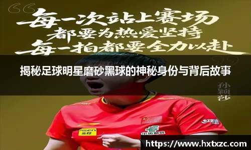 3003新葡的京集团