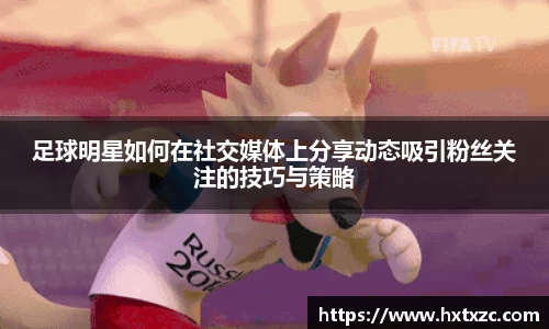 3003新葡的京集团